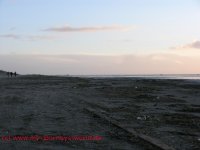 Strand Fanø